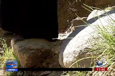 Se întâmplă în România, înregistrarea emisiunii din data de 8 mai 2013