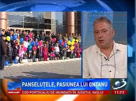 Panseluţele de 1,3 milioane de euro, pasiunea lui Onţanu