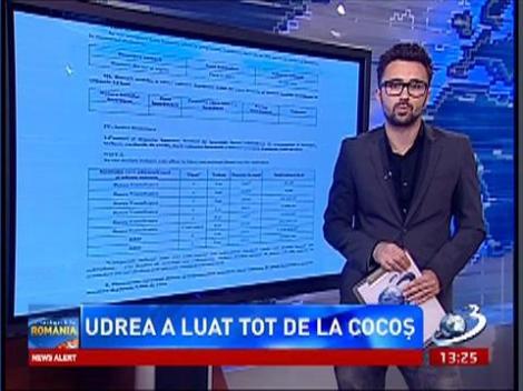 Cu ce avere a rămas Udrea după divorţul de Cocoş