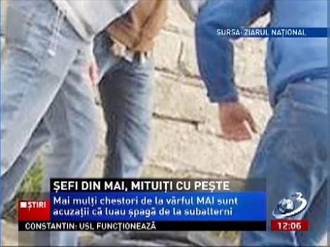 Mai mulți chestori de la vârful MAI sunt acuzați că lua șpagă de la subalterni