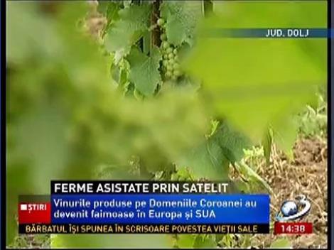 O nouă tehnologie! Ferme asistate prin satelit, și nu este un mit, se întâmplă în Dolj