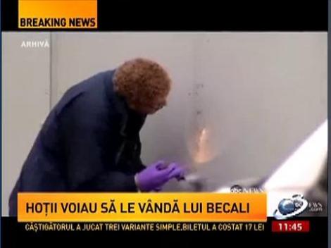 Hoţii tablourilor de la Rotterdam voiau să-i vândă operele de artă lui Becali