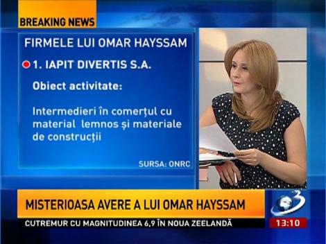 Firmele lui Omar Hayssam
