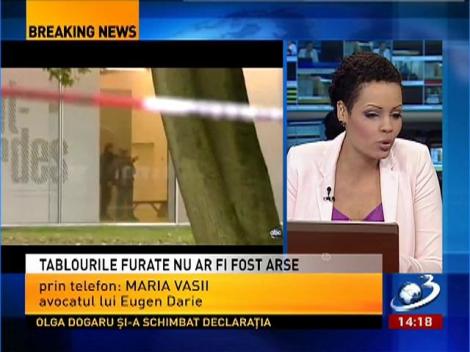 Maria Vasi, avocatul lui Eugen Darie: Clientul meu a afirmat cu certitudine că tablourile nu au fost arse
