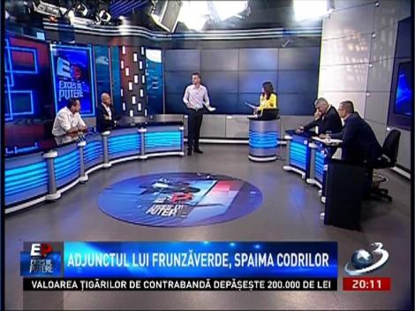 Exces de Putere: Cum face afaceri cu lemnul Ionesie Ghiorghioni