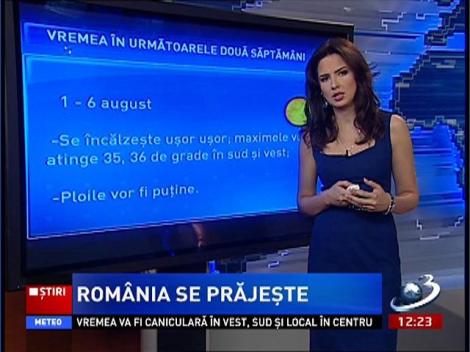 Prognoza meteo pentru următoarele 2 săptămâni