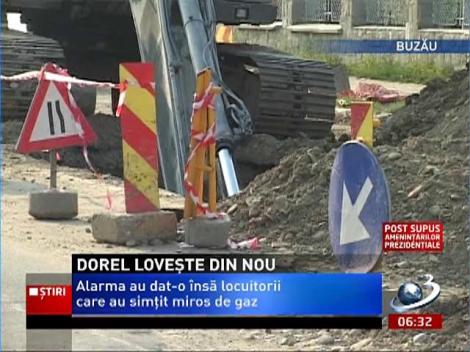 Dorel loveşte din nou, dar, de această dată la Buzău, unde a creat panică printre locuitorii unui cartier întreg