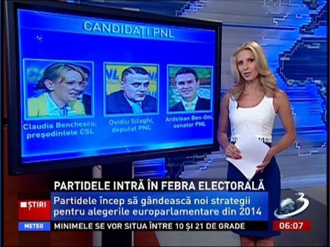 Partidele intră în febra electorala