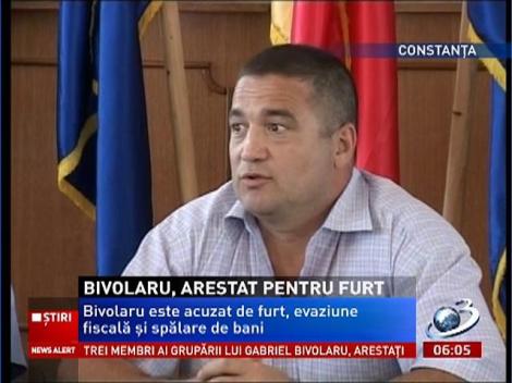 Fratele liderului MISA, fostul deputat Gabriel Bivolaru, arestat pentru 29 de zile