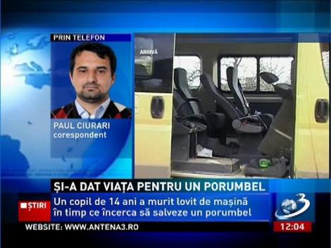 A încercat să ajute un porumbel, însă a sfârşit sub roţile unui microbuz