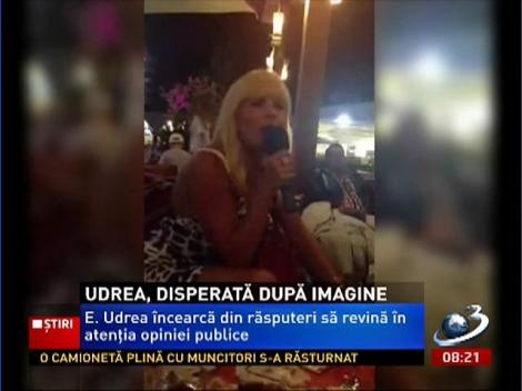 S-a dus gloria Elenei Udrea... Fostul ministru încearcă din răsputeri să atragă atenţia