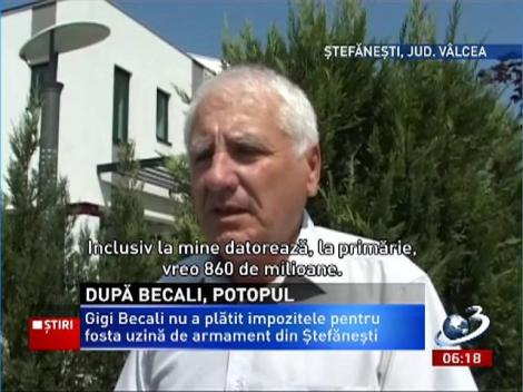 După Becali, potopul! Fundaţia latifundiarului, datorii de aproape jumătate de milion de lei