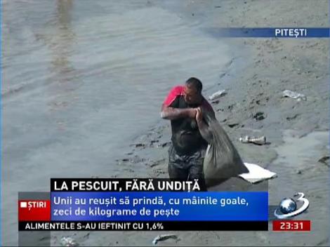 La pescuit, fără undiţă, prin mâlul Argeşului