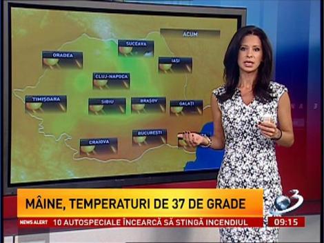 Caniculă în jumătate de ţară