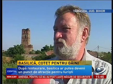 O basilică din secolul a XII lea a ajuns coteţ pentru găini