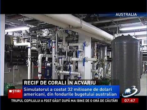 Recif de corali în acvariu. Soarta comorilor subacvatice, în grija unei instalaţii care simulează condiţiile din apă