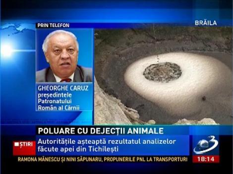 Poluare masivă cu dejecţii animale la Brăila