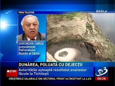 Dunărea poluată, autorităţile nu iau măsuri! În zona Tichileşti se varsă dejecţiile de la o fermă de creştere a porcilor