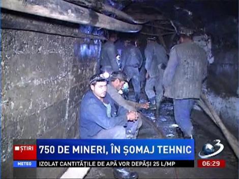 750 de mineri de la Mina Husnicioara au intrat în concediu tehnic pe perioadă nedeterminată
