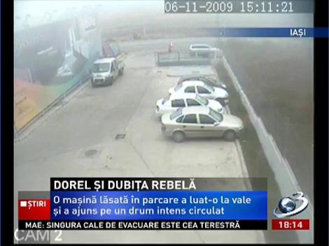 Dorel şi dubiţa rebelă. Ce a ieşit este de tot hazul