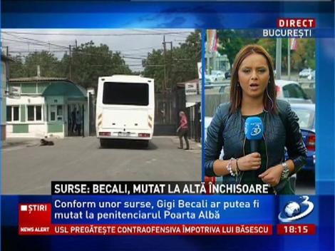 Gigi Becali ar putea fi mutat de la Jilava la închisoarea Poarta Albă. Spune că se simte "persecutat"