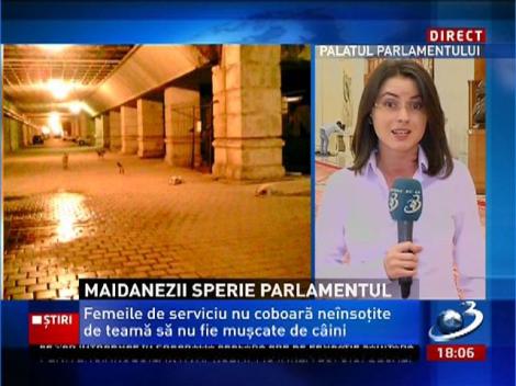 Maidanezii sperie Parlamentul