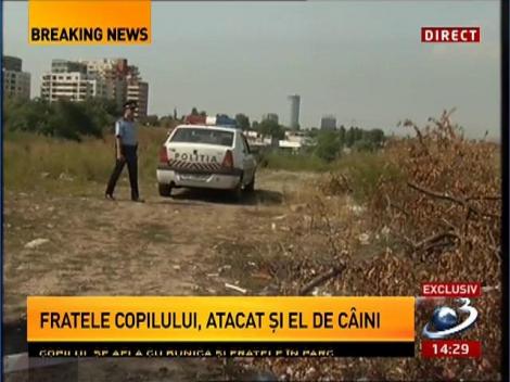 Imagini de la locul unde maidanezii au sfâşiat un copil de patru ani