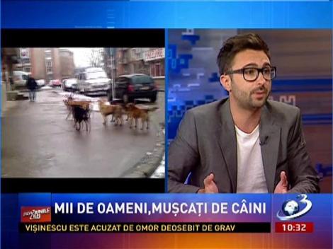 Previziunile Zilei: Ionuţ Cristache, despre incompetenţa autorităţilor de a soluţiona problema câinlor comunitari
