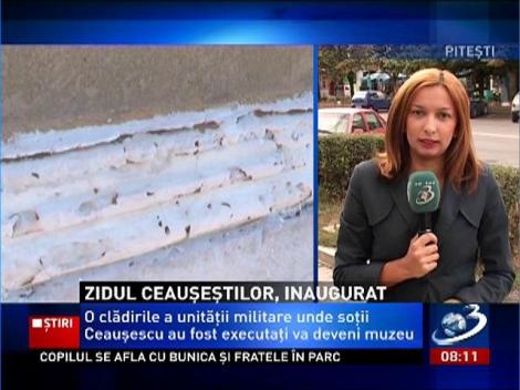 Zidul Ceauşeştilor, inaugurat la Târgovişte