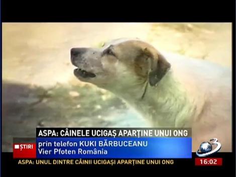 Cel puţin unul dintre câinii aparţine unui ONG