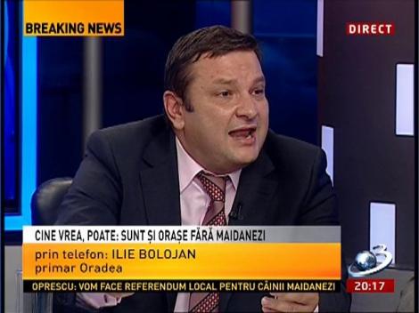 Primarul din Oradea, despre situaţia câinilor maidanezi