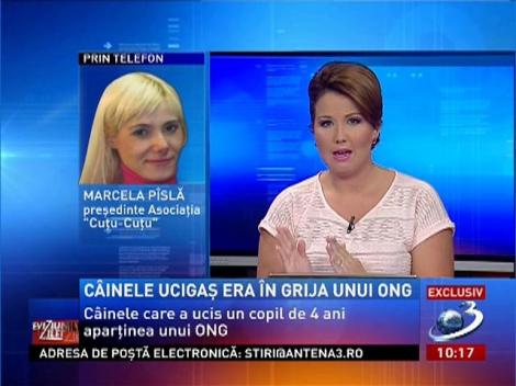 Marcela Pîslă, despre cazul maidanezilor: Este vina parlamentarilor care ţin proiectul sterilizării de 7 ani!