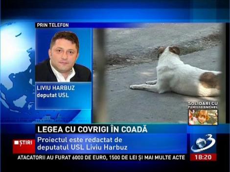 Legea cu covrigi în coadă