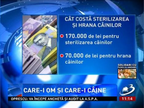 Ce cheltuieli a făcut ASPA să rezolve problema maidanezilor