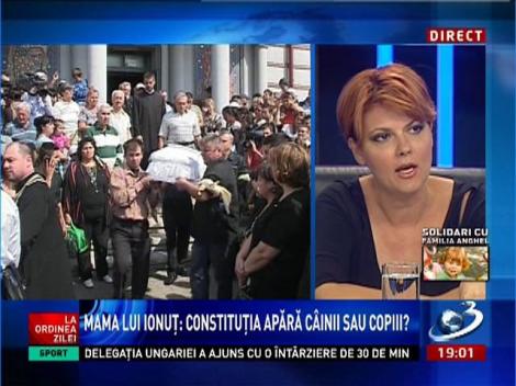 Primarul Craiovei, despre problema câinilor maidanezi