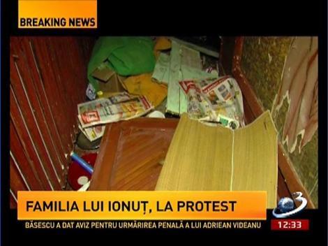 Câinii maidanezi fac legea într-un bloc din Piatra Neamţ