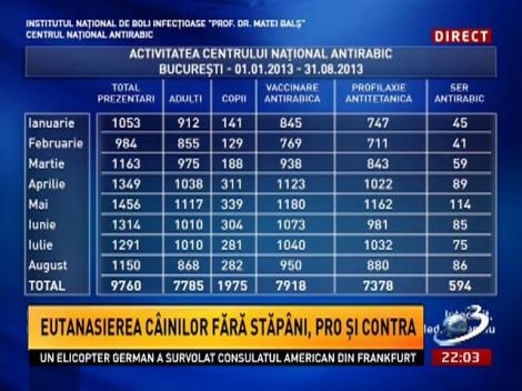 Sinteza Zilei: Câţi oameni muşcaţi de câini s-au prezentat la Centrul Naţional Antirabic
