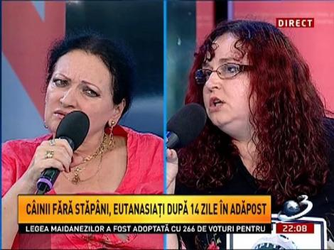 Sinteza Zilei: Discuţii PRO şi CONTRA, pe tema eutanasierii maidanezilor