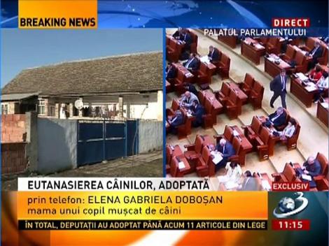 Ancheta &icirc;n cazul unui copil din Timiş mutilat de c&acirc;ini &icirc;n urmă cu un an şi jumătate a rămas blocată