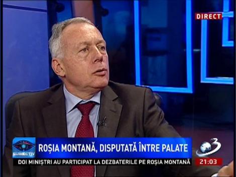 Subiectiv: Laszo Borbely a recunoscut că s-au făcut presiuni asupra sa