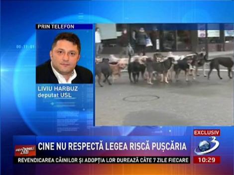 Liviu Harbuz, despre legea eutanasierii câinilor