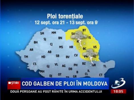COD GALBEN de ploi în Moldova