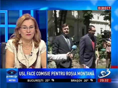 Maria Grapini, despre Roşia Montană: Acest proiect a fost pornit greşit şi nu mai poate fi reparat!