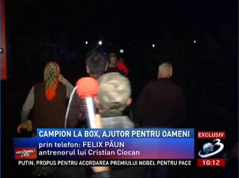 Campion la box, ajutor pentru oameni