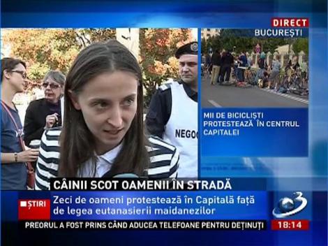 Iubitorii de câini au ieșit în stradă