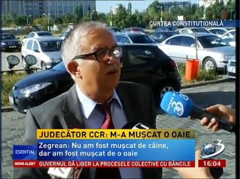 Augustin Zegrean: M-a mușcat o oaie