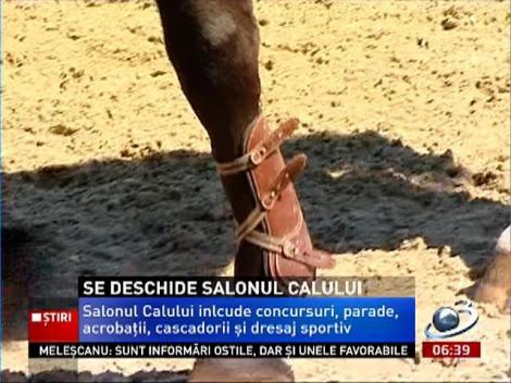 De joi începep la Tâncăbeşti un eveniment ecvestru de excepţie- Salonul Calului