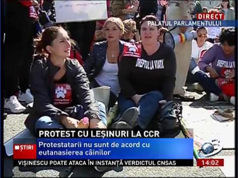 O femeie a leşinat în timpul protestelor din faţa Palatului Parlamentului