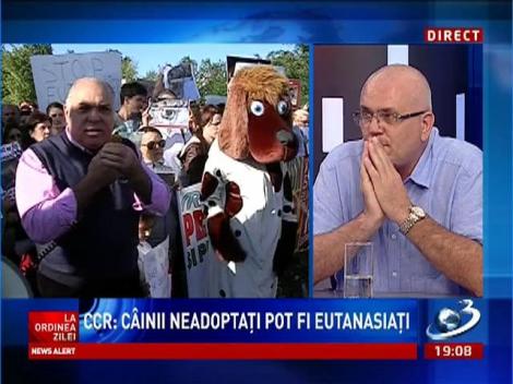 Marius Pieleanu: Nu sunt de acord cu decizia CCR. Noi ucidem în masă