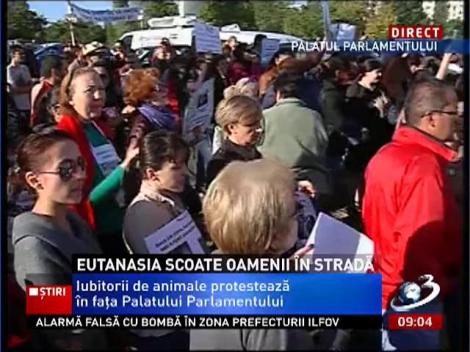 Iubitorii de animale protestează în faţa Palatului Parlamentului